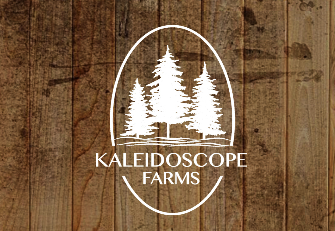 Operation Evergreen Tree Tagging